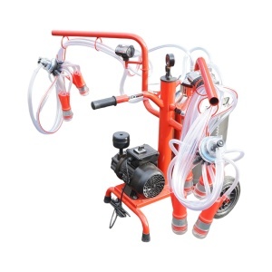 Aparat de muls vaci 2 posturi bidon 40L inox cu vid in cadru(vacuum) Breckner Germany - Img 4