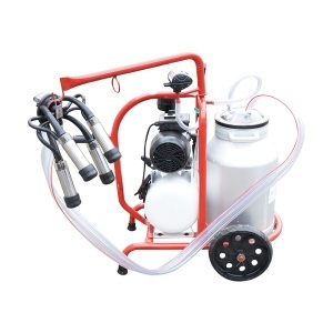 Aparat de muls vaci cu grup colector 160cc, sasiu vopsit electrostatic, bidon aluminiu 30L, 1 post Breckner Germany - Img 4