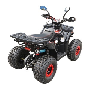 ATV 120cc, 7 CP, 4x2 cu pornire electrica HUNTER II - Img 5