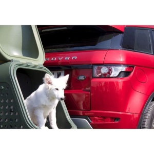 Cutie portbagaj pe carligul de remorcare Towbox V2 DOG Gri - Img 4