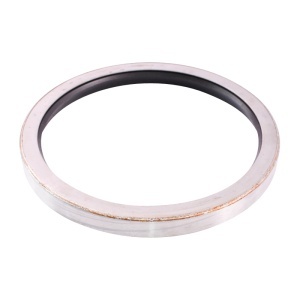 Simering 145x170x15 axa portanta RABA fi100 - Img 2