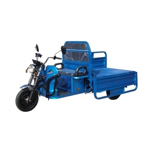 Triciclu electric BRECKNER GERMANY MODEL E 1600W 60V 20AH OMOLOGABIL - Img 6