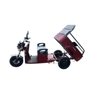 Triciclu electric BRECKNER GERMANY MODEL E ROSU 1600W 60V 20AH - Img 2