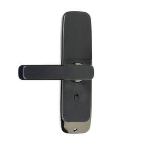 Yala inteligenta PNI SafeHome PTY101R, dreapta, acces cu amprenta, cod, card, cheie, aplicatie de mobil Tuya Smart - Img 3