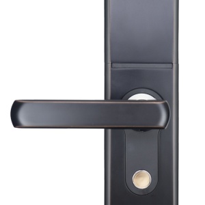 Yala PNI SDL600L cu amprenta, card, parola si deschidere pe partea stanga, Negru - Img 2