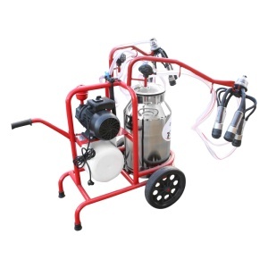 Aparat de muls vaci 2 posturi bidon 40L inox cu butelie, vacuum rezervor Breckner Germany - Img 2