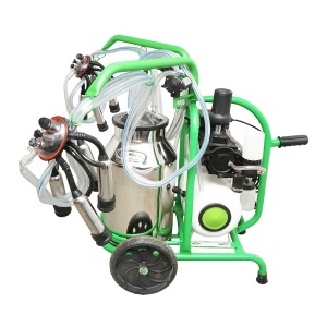 Aparat de muls vaci 2 posturi bidon 40L inox cu butelie, vacuum rezervor Breckner Germany - Img 3