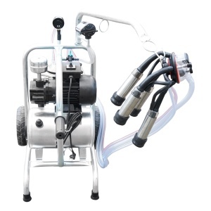 Aparat de muls vaci cu grup colector 160cc, sasiu galvanizat, bidon aluminiu 30L, 1 post Breckner Germany - Img 4