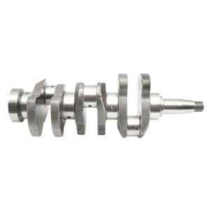 Arbore cotit vibrochen U-445 i FORJAT