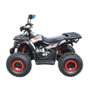 ATV 120cc, 7 CP, 4x2 cu pornire electrica HUNTER II - Img 2