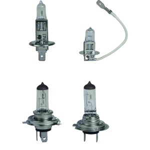 Bec H7 auto 12v Halogen 55W ECO