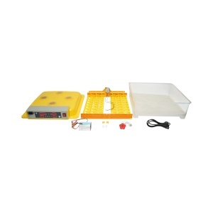 Incubator automat 48 oua 12V-220V cu rotire automata, control temperatura, umiditate, afisaj digital - Img 2