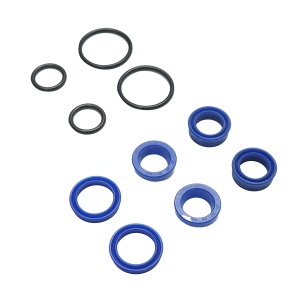 Kit garnituri reparatie cilindri hidraulici RA04, RA05, RA06, RA07, RA08, RA44, RA45, RA46, RA47 - Img 3