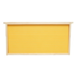 Rama stup din lemn cu fagure din plastic tip Dadant 483x230mm