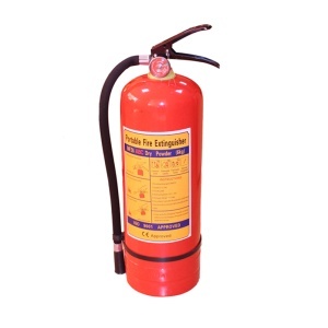 Stingator auto cu pulbere ABC 6kg P6