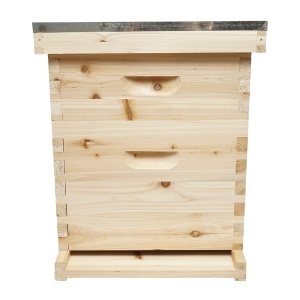 Stup pentru albine din lemn, Dadant, 500x430x310mm - Img 2