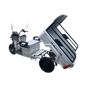 Triciclu electric BRECKNER GERMANY MODEL E ARGINTIU 1600W 60V 20AH - Img 2