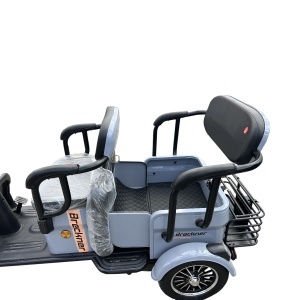 Triciclu electric BRECKNER TRAVEL gri 1000W 60V 20AH - Img 8