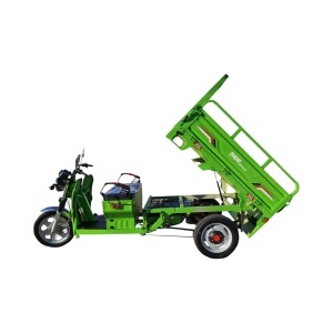 Triciclu electric Thor STAR verde cu CIV 1200W 60V45Ah - Img 5