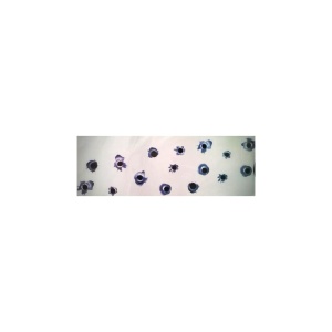 Abtibild Gloante auto decorativ pentru exterior si interior