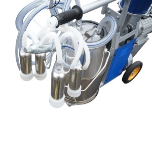 Aparat de muls vaci 1 post 550W, 220V bidon inox 25L, grup de muls cu 4 mansoane, presiune vid 40-50 kPa, pulsatii 64 cpm - Img 8