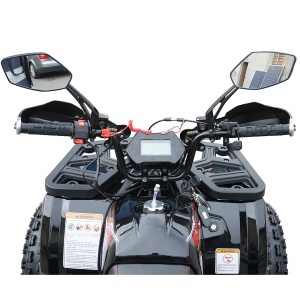 ATV 120cc, 7 CP, 4x2 cu pornire electrica HUNTER II - Img 9