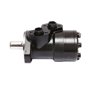 Motor BMP 125cc D=25mm 1/2 Breckner Germany - Img 2
