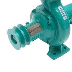 Pompa apa centrifuga cu fulie dubla 1.5kW, 2.5 toli, debit 20 m3/h, adancime aspiratie 9m, inaltime pompare 15m pentru irigatii - Img 7