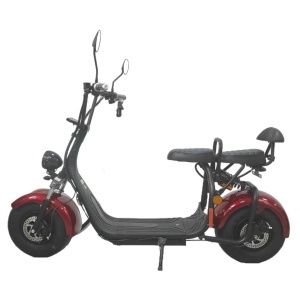 SCUTER ELECTRIC FARA PERMIS TKR