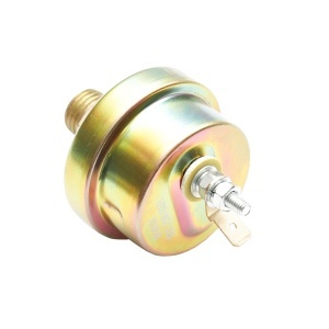 Sonda ulei mare bulb 5621 - Img 3