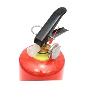 Stingator auto 1kg P1 - Img 3