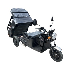 Triciclu electric BRECKNER GERMANY MODEL E GRI 1600W 60V 20AH - Img 4
