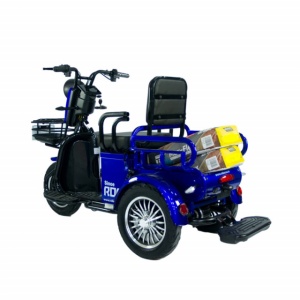 TRICICLU ELECTRIC TEKAROM