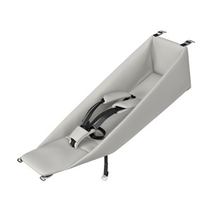 Accesoriu 20201531 - Hamac captusit pentru bebelusi Thule Chariot Infant Sling