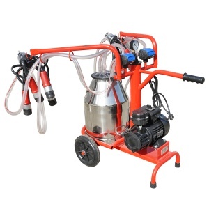 Aparat de muls vaci 2 posturi bidon 30L inox cu vid in cadru(vacuum) Breckner Germany - Img 3