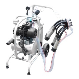 Aparat de muls vaci cu grup colector 160cc, sasiu galvanizat, bidon inox 30L, 1 post Breckner Germany - Img 7