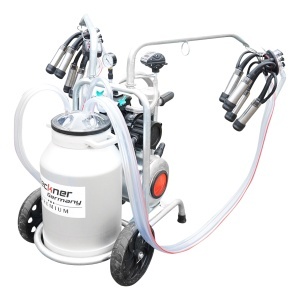 Aparat de muls vaci cu grup colector 160cc sasiu galvanizat bidon aluminiu 40L 2 posturi Breckner Germany - Img 5