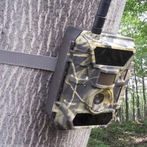 Camera vanatoare PNI Hunting 350C 12MP cu Internet 3G, SMS, transmite foto la miscare pe telefon, email, FTP, full HD 1080P, Night Vision, 58 leduri invizibile pentru animale - Img 6