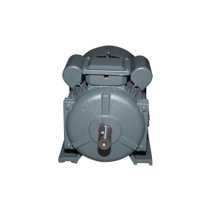 Motor electric 4KW, 220V pentru granulator furaje 40TH158 - Img 2