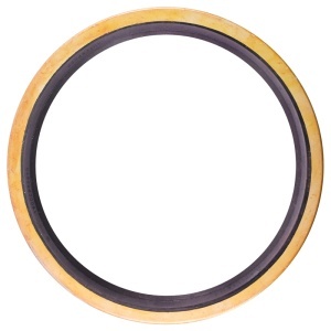 Simering 145x170x15 axa portanta RABA fi100 - Img 3