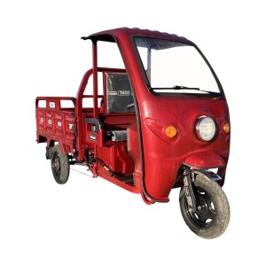 Triciclu electric THOR BUGGY 1000W 48V 32AH - Img 6