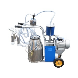 Aparat de muls vaci 1 post 550W, 220V bidon inox 25L, grup de muls cu 4 mansoane, presiune vid 40-50 kPa, pulsatii 64 cpm - Img 2