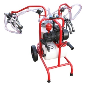 Aparat de muls vaci 2 posturi bidon 40L aluminiu cu butelie, vacuum rezervor Breckner Germany - Img 5