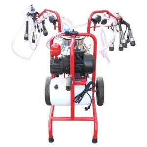 Aparat de muls vaci 2 posturi bidon 40L inox cu butelie, vacuum rezervor Breckner Germany - Img 3