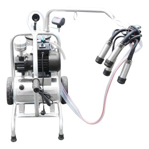 Aparat de muls vaci cu grup colector 160cc, sasiu galvanizat, bidon inox 30L, 1 post Breckner Germany - Img 4