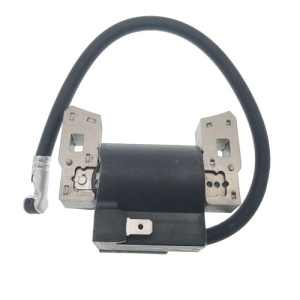Aprindere Briggs&Stratton 5 CP ZF-IG-A00385 - Img 2