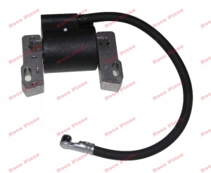 Aprindere Briggs&Stratton 843931 - Img 3