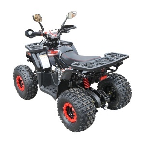 ATV 120cc, 7 CP, 4x2 cu pornire electrica HUNTER II - Img 3