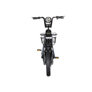 SCUTER ELECTRIC