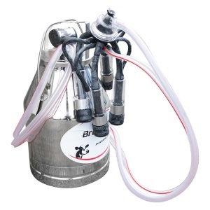 Bidon de inox 30L pentru muls germicidal Breckner Germany - Img 3